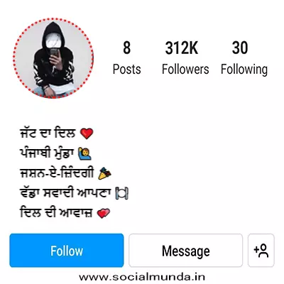 Instagram Bio for Boys in Punjabi