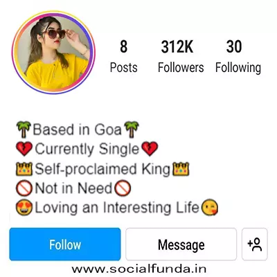 Bio For Instagram For Girls Attitude