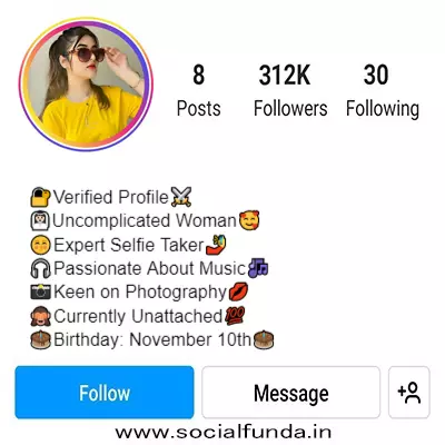 Cool Instagram Bio For Girls Attitude