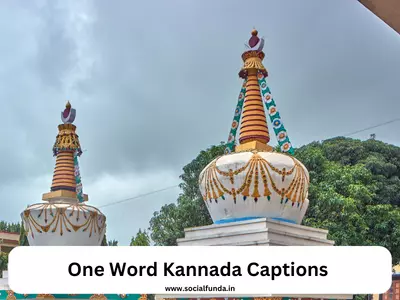 One Word Kannada Captions for Instagram