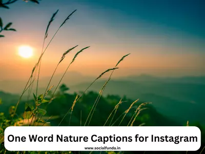 One Word Nature Captions for Instagram