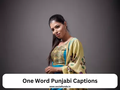 One Word Punjabi Captions for Instagram