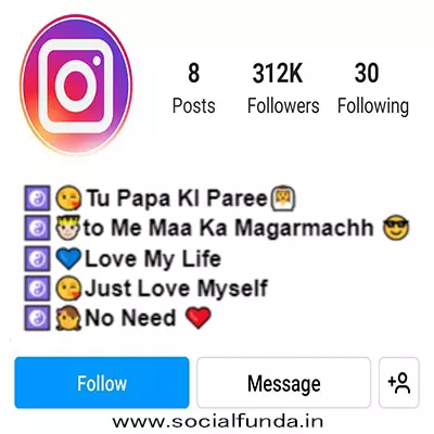 Stylish Bio For Instagram Copy And Paste
