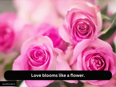 Flower Love Captions for Instagram