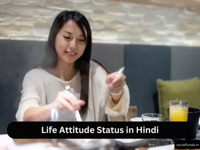 Life Attitude Status in Hindi
