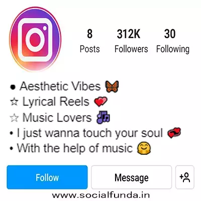 Aesthetic Bio for Instagram
