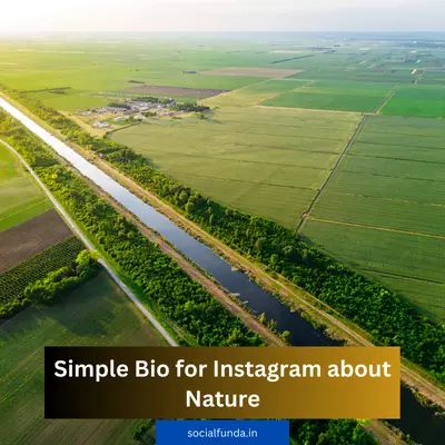 Simple Bio for Instagram about Nature