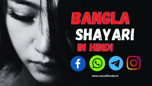 Get The Best 900+ Bangla Shayari Collection (2024)